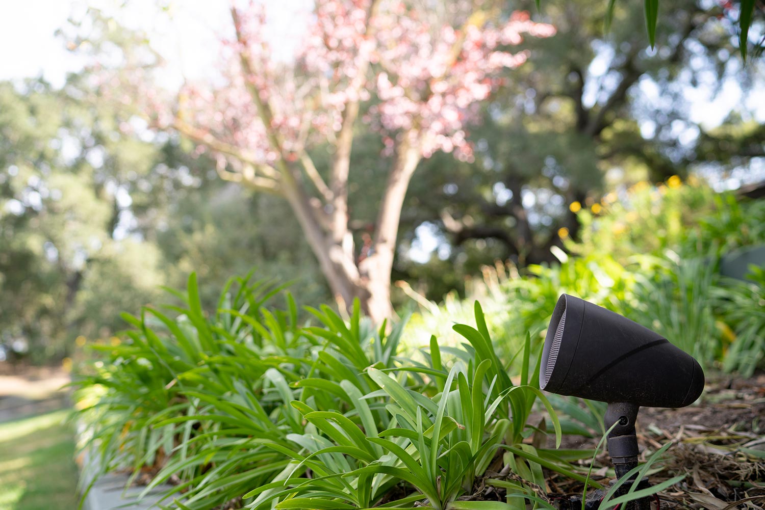 An outdoor spotlight nestled among green plants, with a flowering tree and lush foliage in the background.